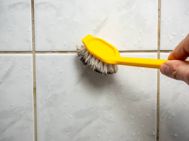 Best Certified Mold Removal  in Kissimmee, FL